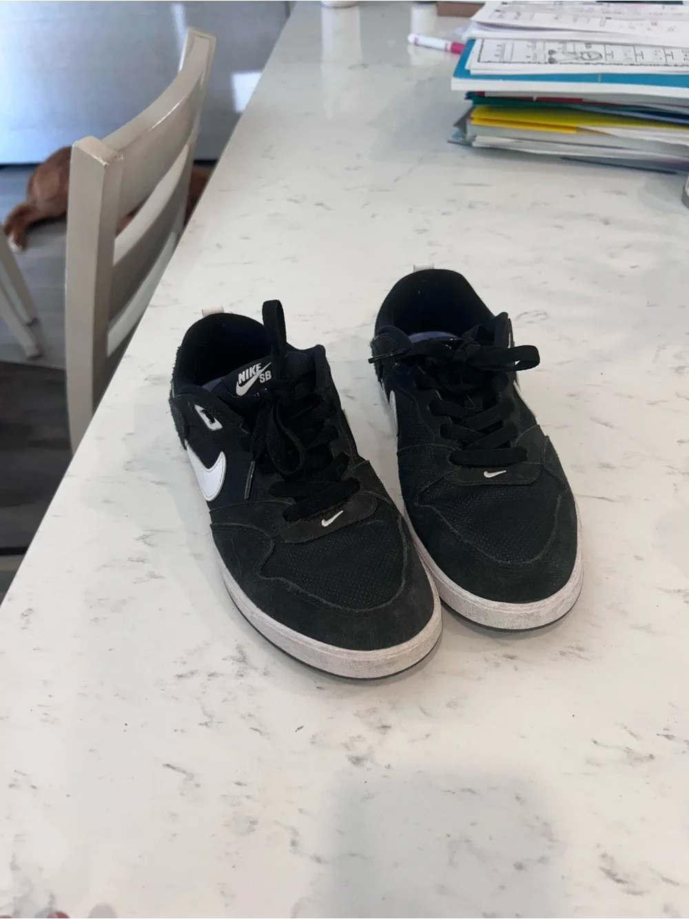 Nike Black & White Low-Top Skate Sneakers